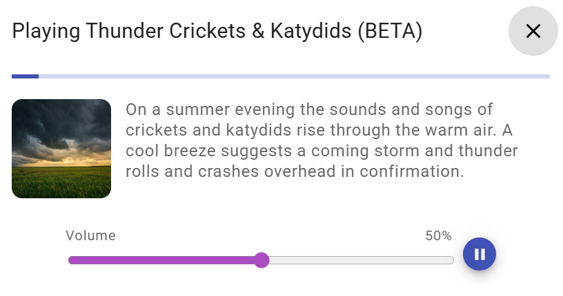 White Noise Market Web Player